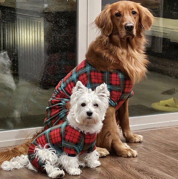 💜 LIKE TO BE NOTIFIED WHEN I GO LIVE!! 💜 - Picture 7 of 8